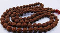 Authentic 5 Mukhi Rudraksha mala with 108 beads.