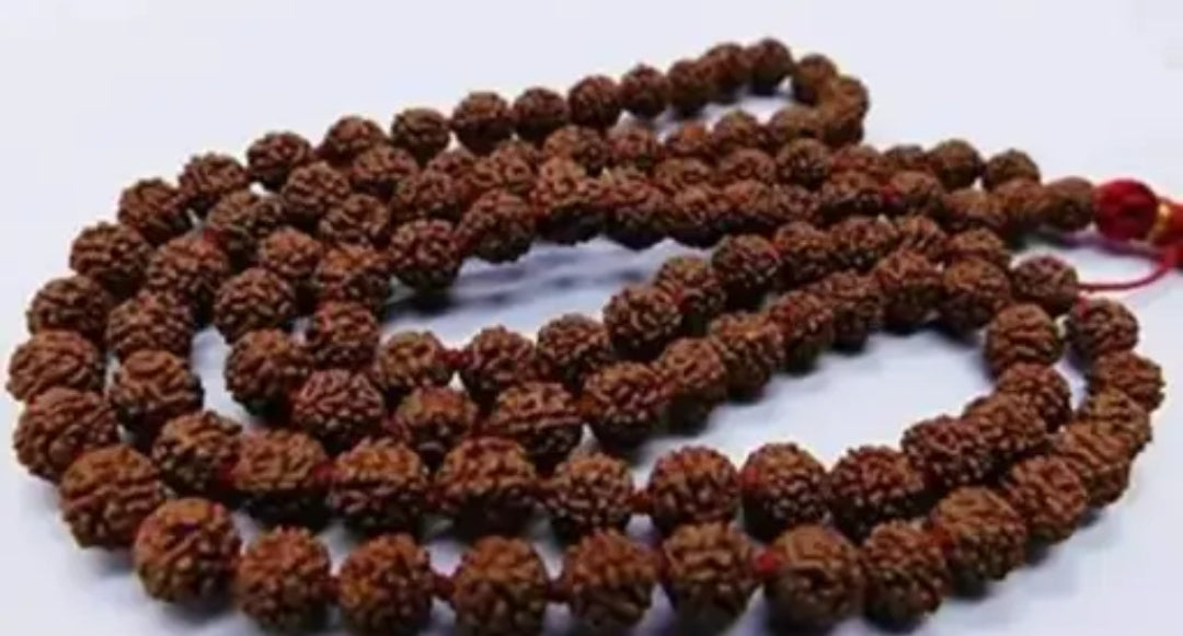 Authentic 5 Mukhi Rudraksha mala with 108 beads.
